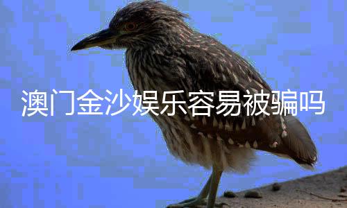 澳门金沙娱乐容易被骗吗?资深玩家揭秘防骗技巧与安全攻略