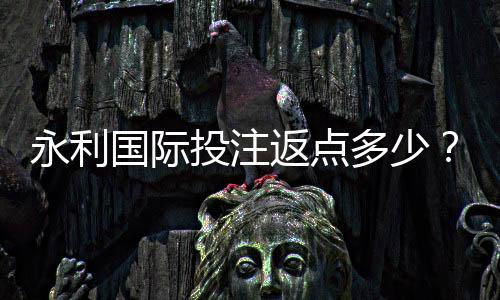 永利国际投注返点多少?探寻实惠机会