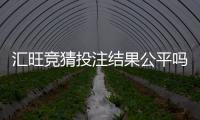 汇旺竞猜投注结果公平吗？深度解析平台公正性与玩家实测反馈