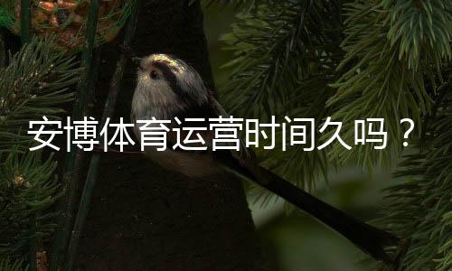 安博体育运营时间久吗？成立年限、平台信誉与安全性全面解析