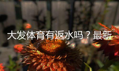大发体育有返水吗?最新返水规则、领取条件与注意事项