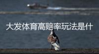 大发体育高赔率玩法是什么意思?新手投注攻略、提效技巧与风险控制详解