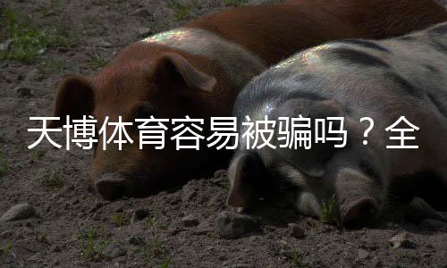天博体育容易被骗吗？全面辨别平台真伪与实用防骗指南