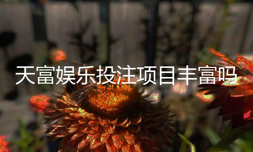 天富娱乐投注项目丰富吗?揭秘平台热门游戏与特色玩法