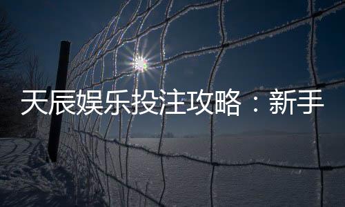 天辰娱乐投注攻略：新手快速上手与实用技巧分享