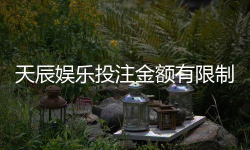天辰娱乐投注金额有限制吗?最新规则解析与注意事项