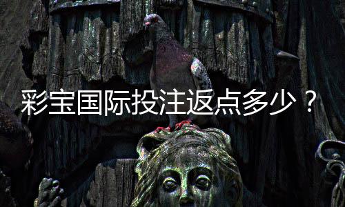 彩宝国际投注返点多少？高额返点等你来赚取