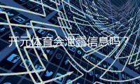 开元体育会泄露信息吗？深度解析平台安全性与隐私保护措施