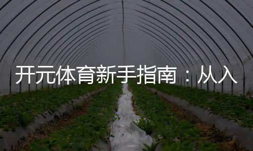 开元体育新手指南：从入门到精通的实战技巧