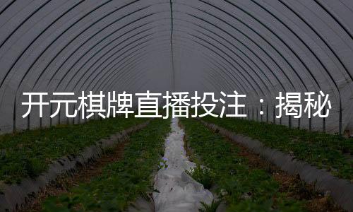 开元棋牌直播投注：揭秘高手实战技巧与稳赢策略
