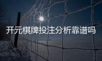 开元棋牌投注分析靠谱吗?深度测评其安全性与赢钱技巧