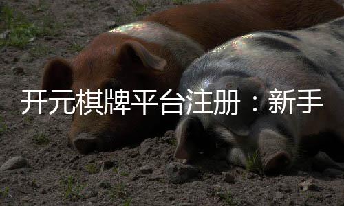 开元棋牌平台注册：新手必看的安全注册流程与游戏攻略