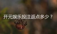 开元娱乐投注返点多少?揭秘高返点活动与实战技巧
