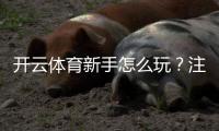 开云体育新手怎么玩？注册、充值、投注与常见玩法全攻略