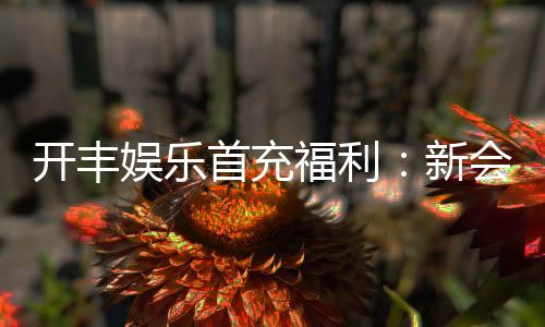 开丰娱乐首充福利：新会员专享高额返利与独家礼包