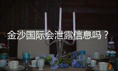 金沙国际会泄露信息吗?深度解析其安全性及用户隐私保护措施