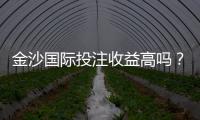 金沙国际投注收益高吗？资深玩家解析真实盈利策略