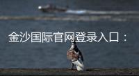 金沙国际官网登录入口：畅享顶级娱乐体验与安全登录指南