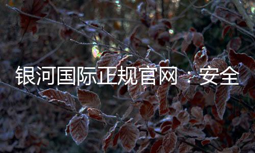 银河国际正规官网：安全可靠的在线娱乐平台首选