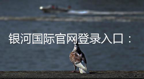 银河国际官网登录入口:畅享顶级棋牌电游的尊贵体验