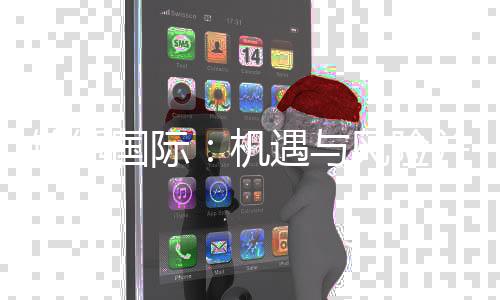 锦绣国际：机遇与风险并存的投资选择