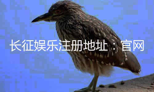 长征娱乐注册地址:官网入口与安全登录指南