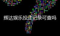 辉达娱乐投注记录可查吗？一文详解查询方法与注意事项