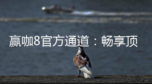 赢咖8官方通道：畅享顶级电子游艺的制胜秘诀