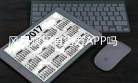 风暴娱乐有官方APP吗？下载安装及使用指南全解析
