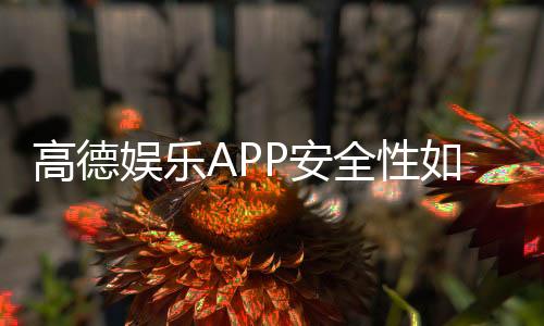 高德娱乐APP安全性如何？深度测评其资金保障与数据防护