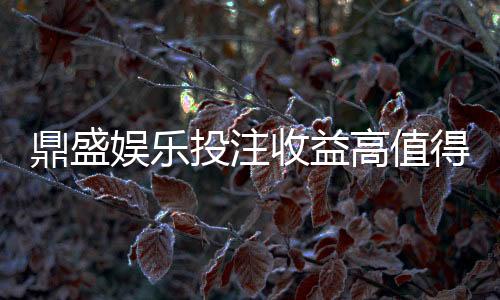 鼎盛娱乐投注收益高值得期待吗?