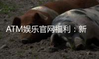 ATM娱乐官网福利：新会员专享豪礼与每日惊喜活动