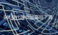 B体育代理收益高吗？真实收益揭秘与新手代理赚钱全攻略