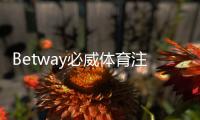 Betway必威体育注册体验：完整注册流程、优惠福利与安全注意事项