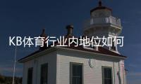KB体育行业内地位如何？市场份额、竞争优势与未来发展前景全面解析