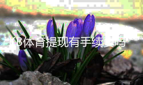 KB体育提现有手续费吗?最新提现费用标准、到账时间与免手续费攻略