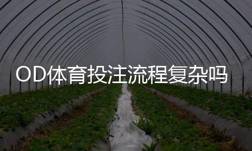 OD体育投注流程复杂吗?一文看懂开户、充值、投注到提现全流程