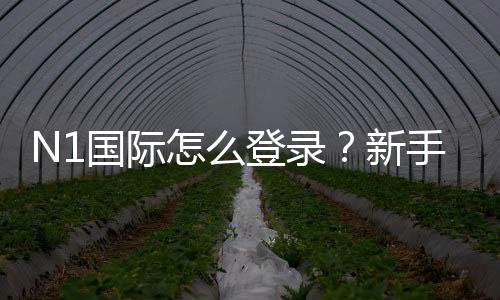 N1国际怎么登录？新手登录步骤详解与常见问题快速解决
