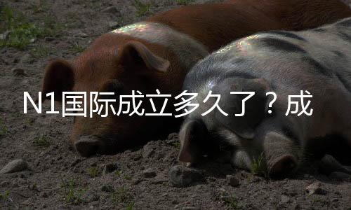 N1国际成立多久了?成立时间、发展历程与信誉全解析