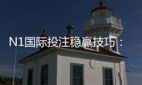 N1国际投注稳赢技巧：新手必学策略、资金管理与实战案例全攻略