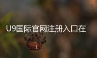 U9国际官网注册入口在哪里？新手快速注册流程与注意事项详解