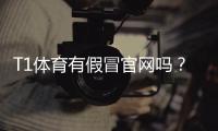 T1体育有假冒官网吗?教你快速识别真伪与防骗全攻略