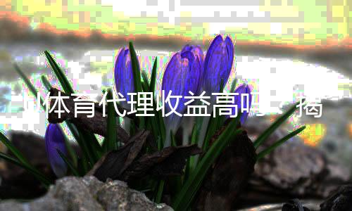 U体育代理收益高吗?揭秘高收益背后的真实情况