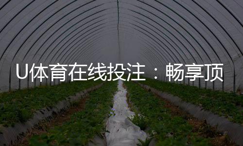 U体育在线投注:畅享顶级赛事投注与高额返水优惠