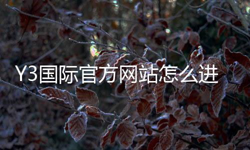 Y3国际官方网站怎么进?官网入口、登录注册与安全验证全攻略