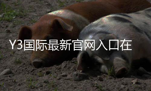 Y3国际最新官网入口在哪里？官方登录、注册与安全访问全攻略