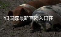 Y3国际最新官网入口在哪里？官方登录、注册与安全访问全攻略