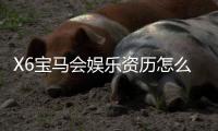 X6宝马会娱乐资历怎么样？资深玩家带你揭秘平台真实体验