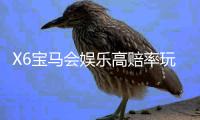 X6宝马会娱乐高赔率玩法：揭秘三大经典牌局必胜技巧