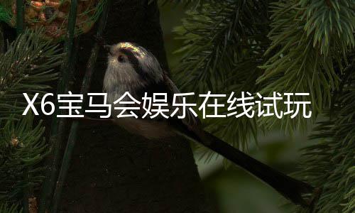 X6宝马会娱乐在线试玩:畅享豪华电游盛宴与真人棋牌乐趣